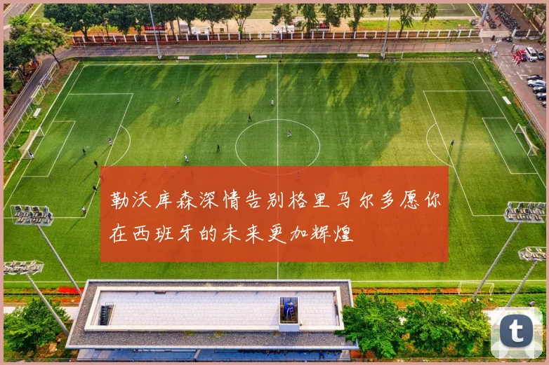 勒沃库森深情告别格里马尔多愿你在西班牙的未来更加辉煌